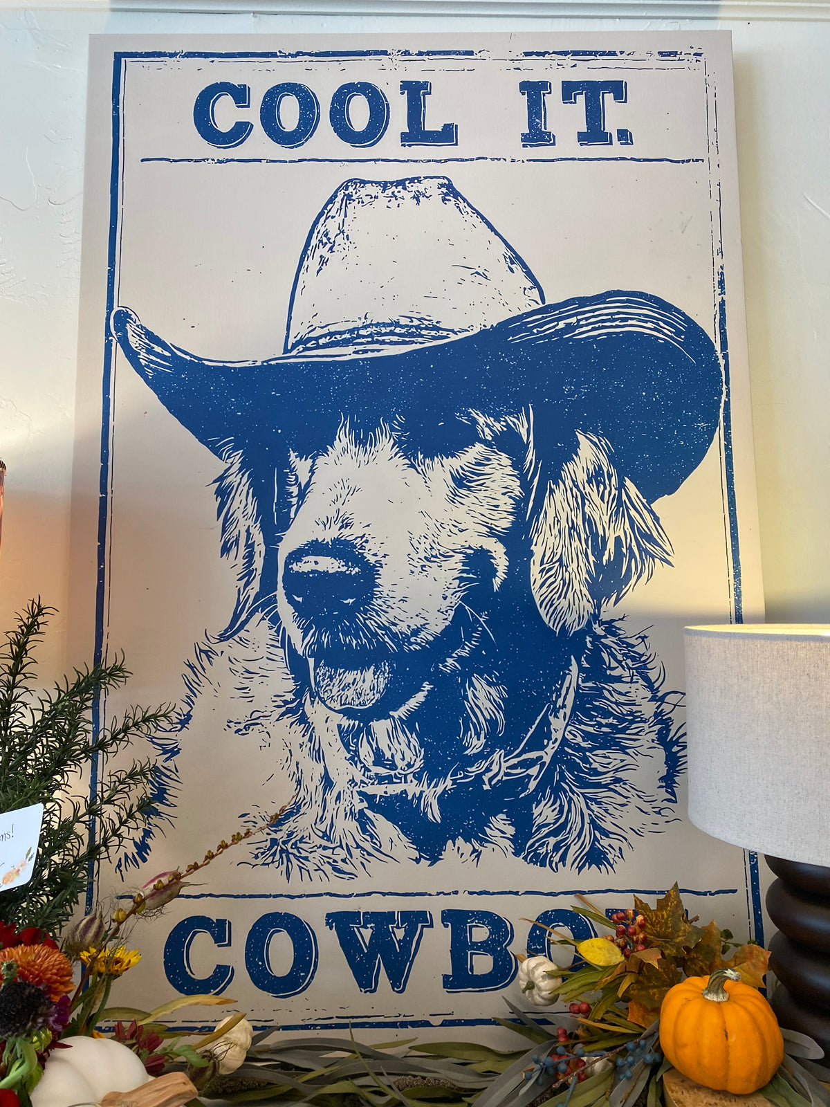 Cool It Cowboy