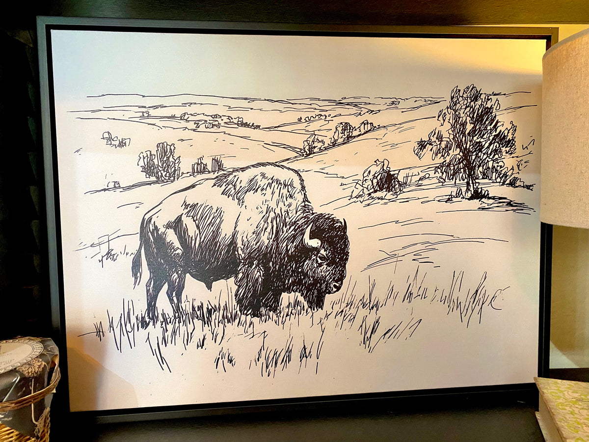On, On, Buffalos!