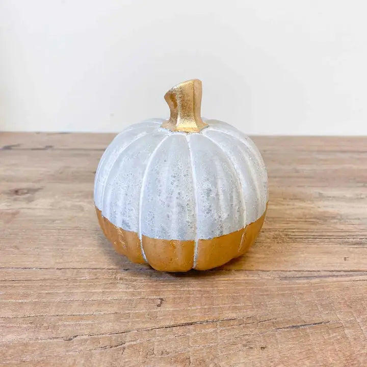 Max Grey & Orange Pumpkin