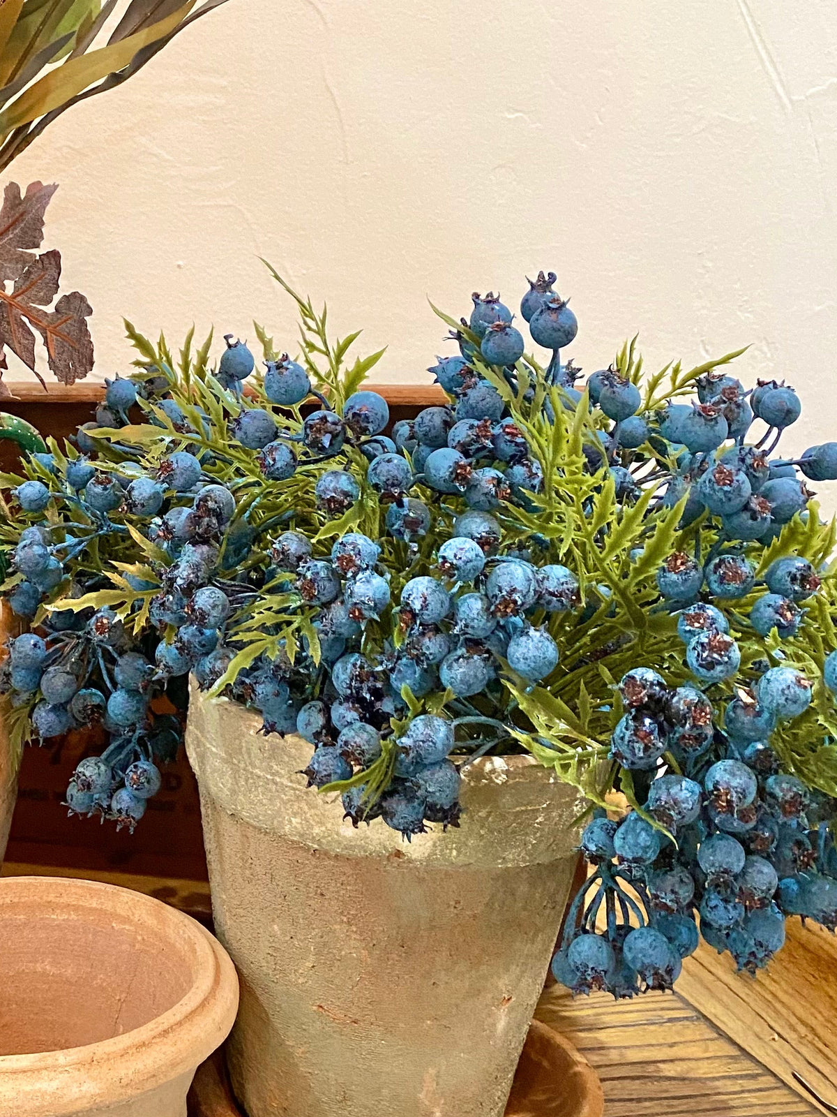 Blueberry Stem Bundle