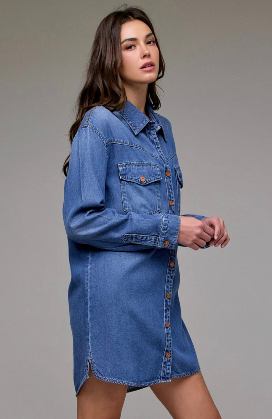 Abbey Denim Shirt Dress