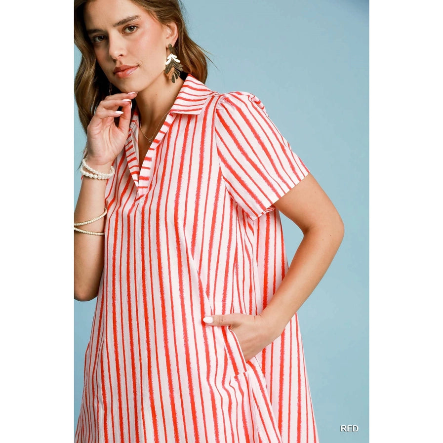 Striped Collar Mini Dress