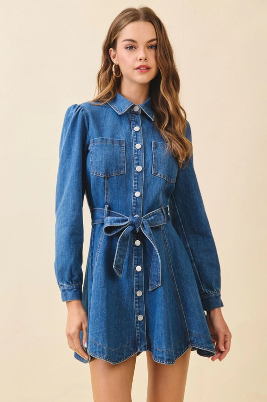 Stevie Denim Tie Mini Dress