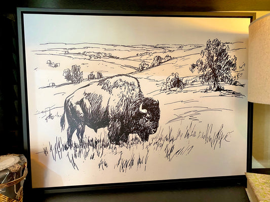 On, On, Buffalos!