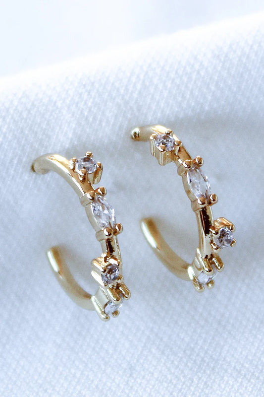 Chase Hoop Mini Earring