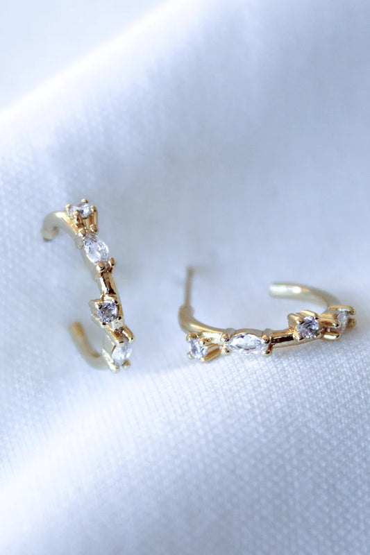 Chase Hoop Mini Earring