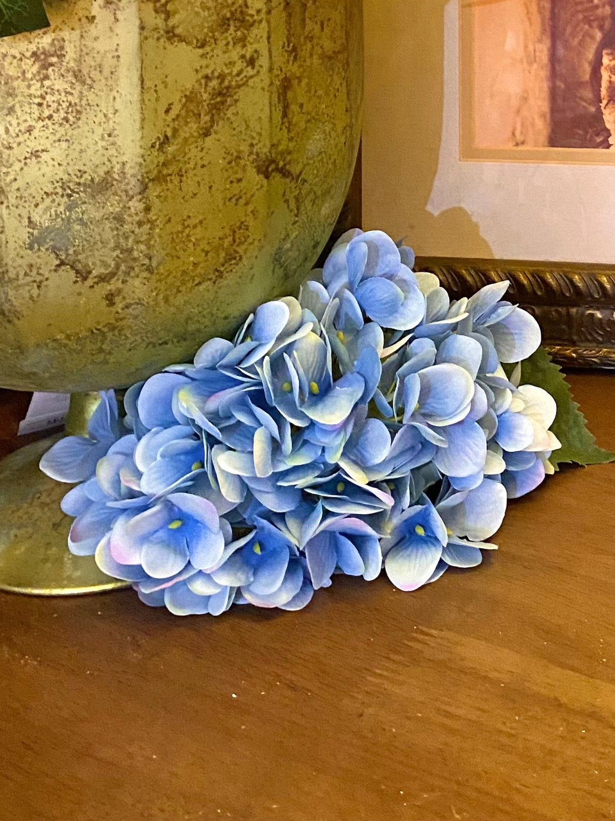 Hydrangea Blue Green